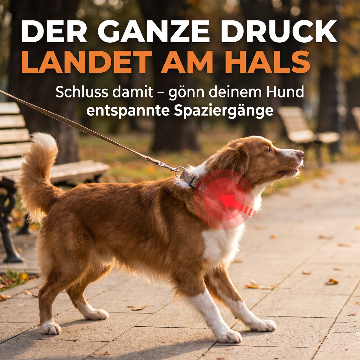 Calmaura Anti-Zug Hundegeschirr – mit Griff & Reflektoren