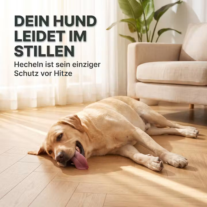 Frostaura Kühlmatte für Hunde & Katzen – selbstkühlend, ohne Strom